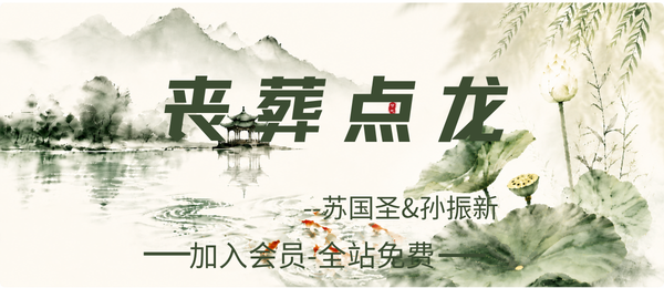 苏国圣&孙振新:丧葬点龙185页pdf