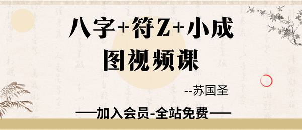 苏国圣:八字+符Z+小成图视频课4集