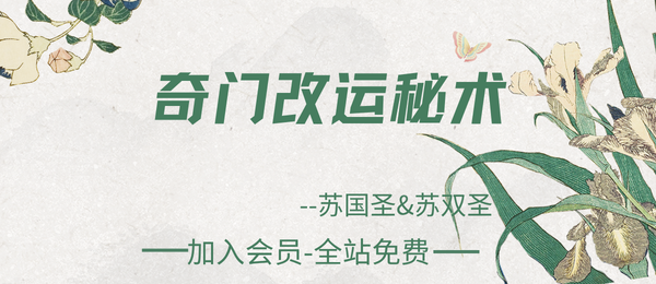 苏国圣&苏双圣：奇门改运秘术316页