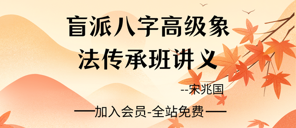 宋兆国:《盲派八字高阶象法》内部讲义256页pdf