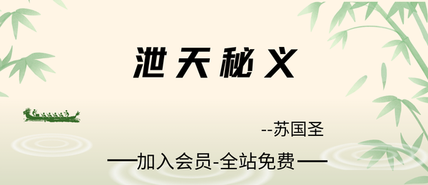 苏国圣:泄天秘义96页pdf