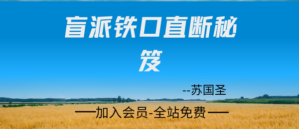 苏国圣:盲派铁口直断秘笈9页pdf