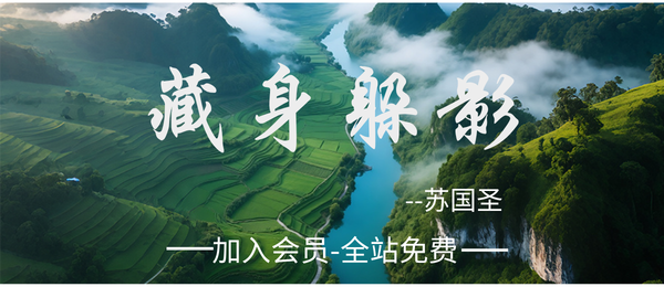 苏国圣:《藏身躲影》128页pdf