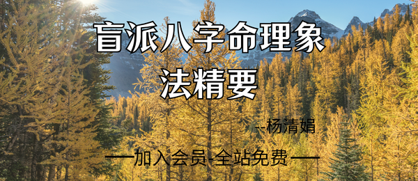 杨清娟:《盲派八字命理象法精要》441页pdf