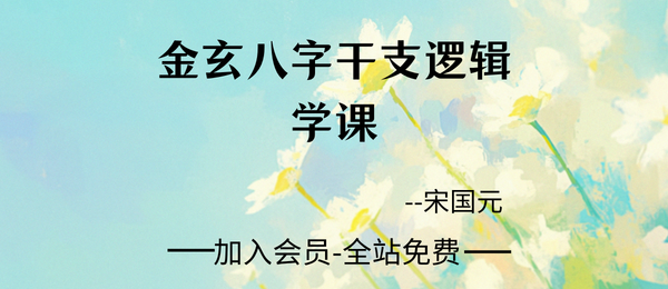 宋国元:金玄八字干支逻辑学课2019年实录51集