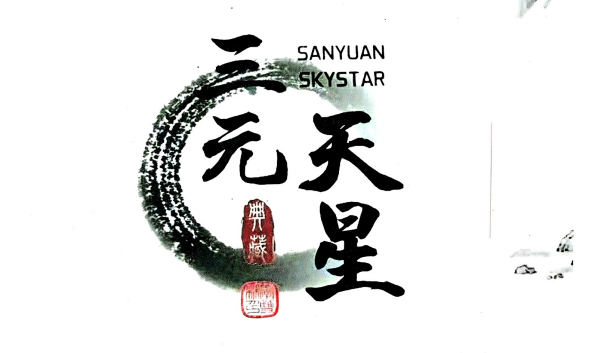 李双林:《三元天星》内部教材466页pdf