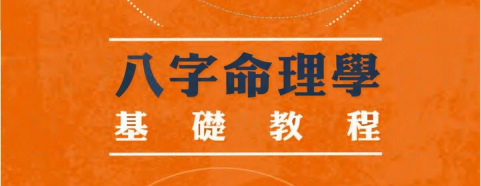 陆致极:《八字命理学基础教程》306页pdf