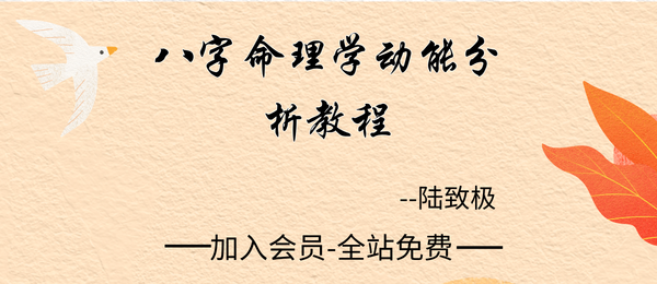 陆致极:《八字命理学动能分析教程》430页pdf