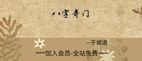 于城道:八字奇门13集