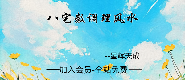 星辉天成:《八宅数调理风水》14集