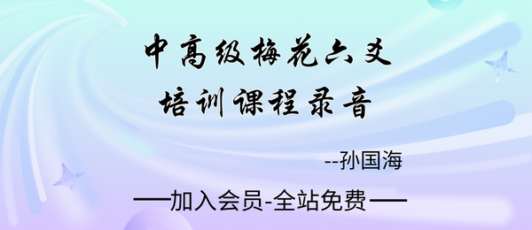孙国海:中高级梅花六爻培训等课程录音