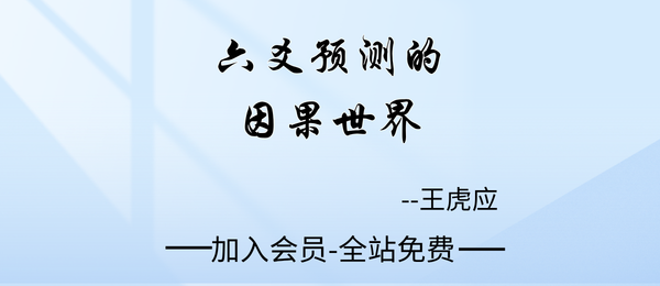 王虎应:《六爻预测的因果世界》447页pdf