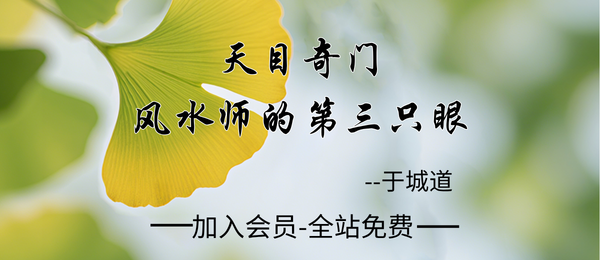 于城道人:《天目奇门·风水师的第三只眼》113页pdf