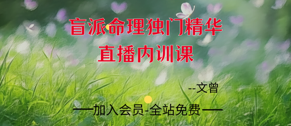 文曾:盲派命理独门精华直播内训课64集
