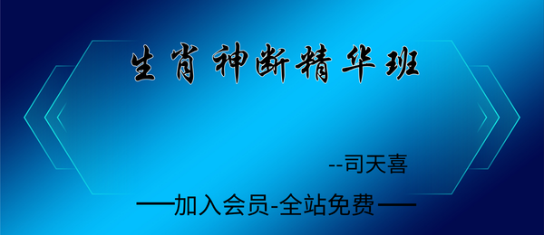 司天喜:生肖神断精华班课程17集+图片资料