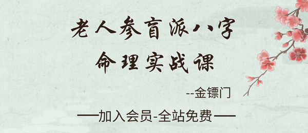 金镖门:老人参金镖门盲派八字命理实战课30集