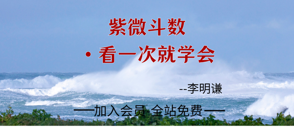 李明谦:《紫微斗数·看一次就学会》426页pdf