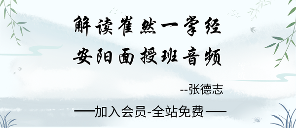 张德志:解读崔然一掌经安阳面授学习班9节音频+讲义