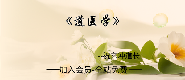 祝玄冲道长:《道医学》12集