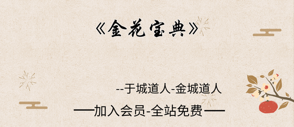 于城道人-金城道人:《金花宝典》113页pdf
