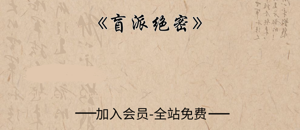 《盲派绝密》177页pdf
