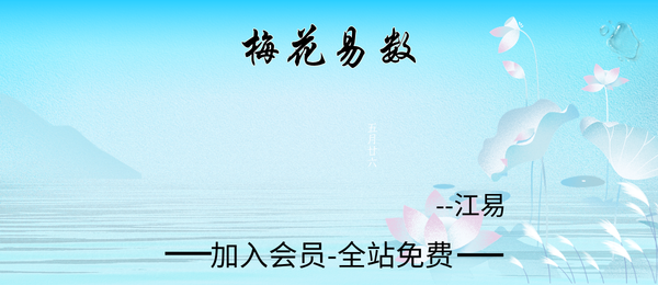 江易:梅花易数10集视频