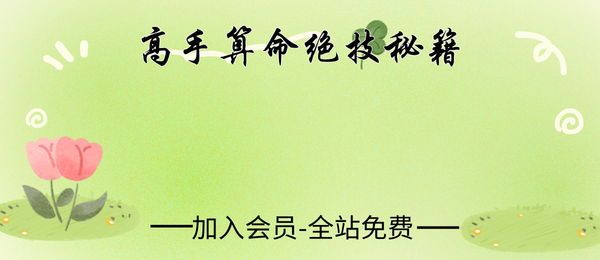《高手算命绝技秘籍》193页pdf