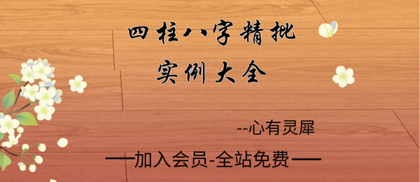 心有灵犀:《四柱八字精批实例大全》127页pdf