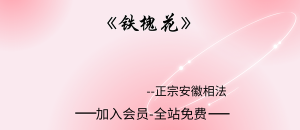 正宗安徽相法《铁槐花》上下两册