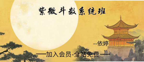 依婷:2025紫微斗数系统班45集