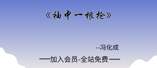 冯化成:《袖中一根枪》5页pdf