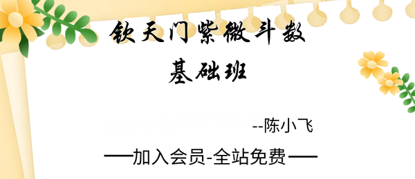 陈小飞:钦天门紫微斗数基础班29集