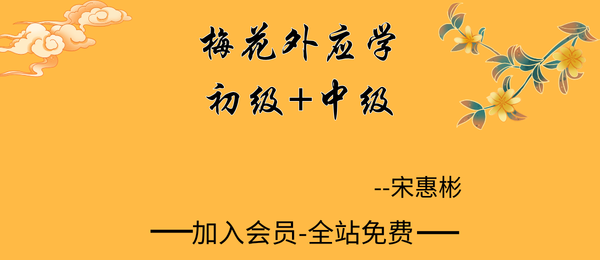 宋惠彬:梅花外应学初级+中级99集视频