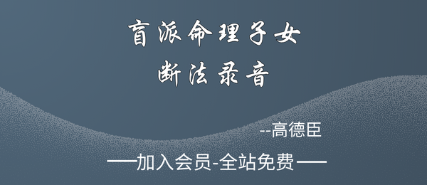 高德臣:盲派命理子女断法录音24集12个小时+笔记86页
