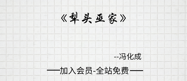 冯化成:《犁头巫家》383页pdf