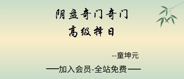 童坤元:阴盘奇门奇门高级择日19集视频