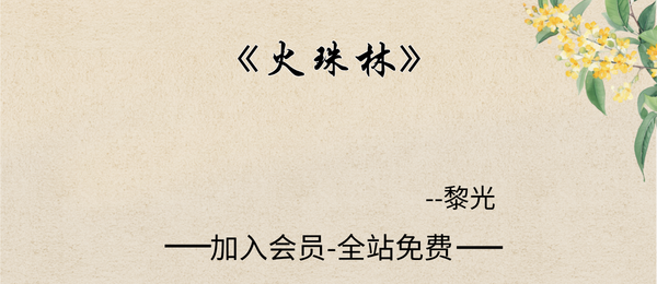 黎光:《火珠林》327页pdf