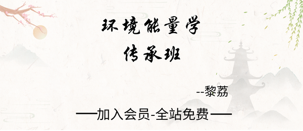 黎荔:环境能量学传承班8集