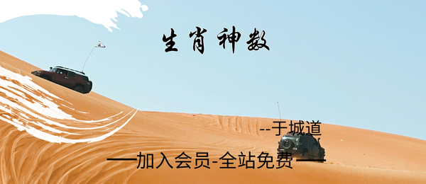 于城道:生肖神数课6集