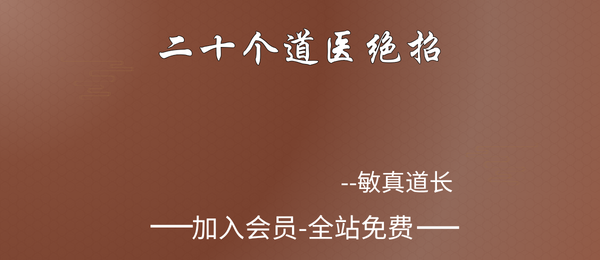 敏真道长:二十个道医绝招20集视频
