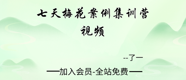 了一:七天梅花案例集训营7集视频