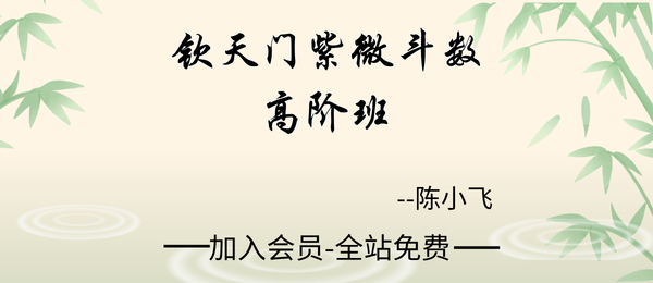 陈小飞:钦天门紫微斗数高阶班19集