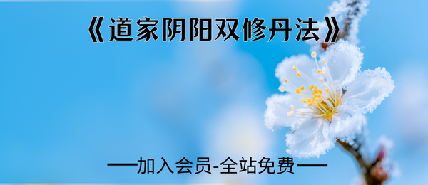 《道家阴阳双修丹法》91页pdf