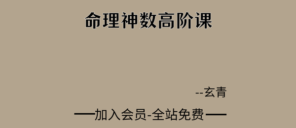 玄青:命理神数高阶课31集视频
