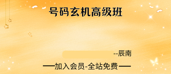 如是禅说辰南:号码玄机高级班51集视频