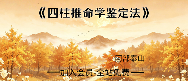 阿部泰山:《四柱推命学鉴定法》338页 pdf