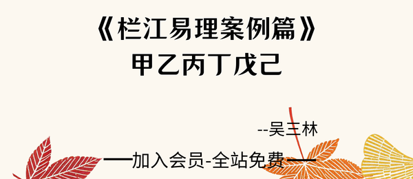 吴三林:《栏江易理甲、乙、丙、丁、戊、己、6册案例篇》6册pdf