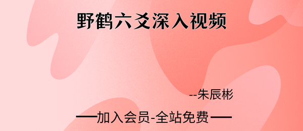 朱辰彬:野鹤六爻深入视频29集