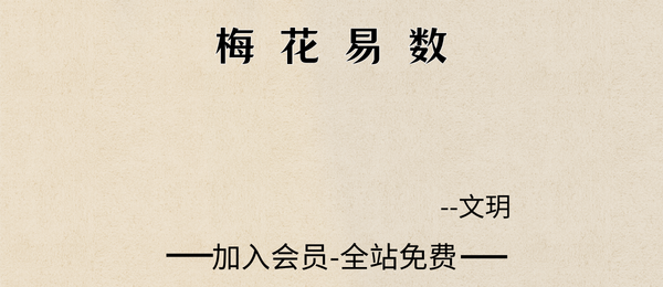 文玥:梅花易数20集视频