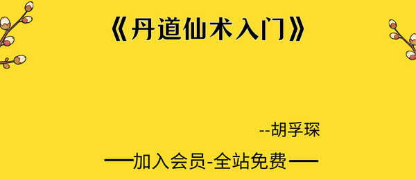 胡孚琛:《丹道仙术入门》355页pdf